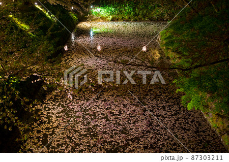 川一面の桜の花びら 87303211