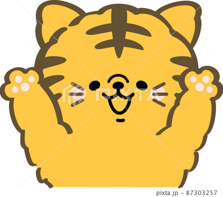 両手を上げるトラ猫 両手を上げるトラ猫 87303257