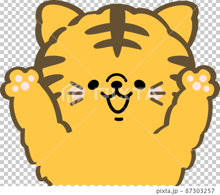 Tabby cat raising both hands Tabby cat raising both hands 87303257