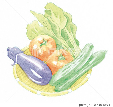 水彩；新鮮な野菜 87304853