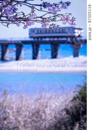 宮崎県日南市山王を走るJR九州ローカル線日南線山王鉄橋でメジロも囀る濃い桃色の花を咲せる日南寒1号桜 宮崎県日南市山王を走るJR九州ローカル線日南線山王鉄橋でメジロも囀る濃い桃色の花を咲せる日南寒1号桜 87305118