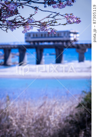 宮崎県日南市山王を走るJR九州ローカル線日南線山王鉄橋でメジロも囀る濃い桃色の花を咲せる日南寒1号桜 87305119