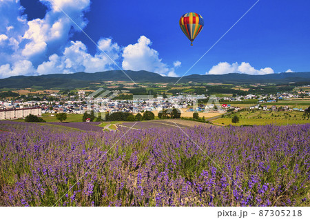 富良野の美しいラベンダー畑 富良野の美しいラベンダー畑 87305218