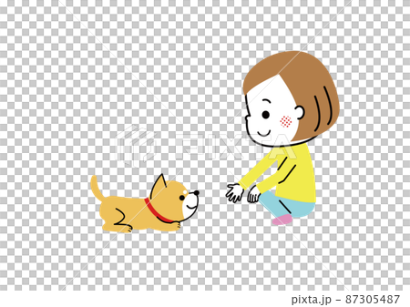 女の子とフセをしている柴犬 87305487