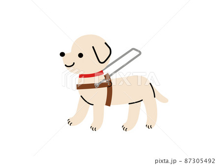 ハーネスを着けた盲導犬のイラスト素材