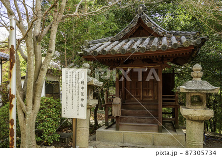 玉井宮東照宮 坂中荒神社 岡山県岡山市 玉井宮東照宮 坂中荒神社 岡山県岡山市 87305734