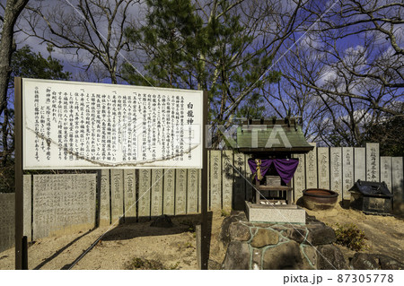 玉井宮東照宮 白龍神 岡山県岡山市 玉井宮東照宮 白龍神 岡山県岡山市 87305778
