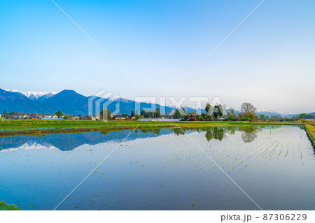 初夏の安曇野の水田と水鏡【長野県】 87306229