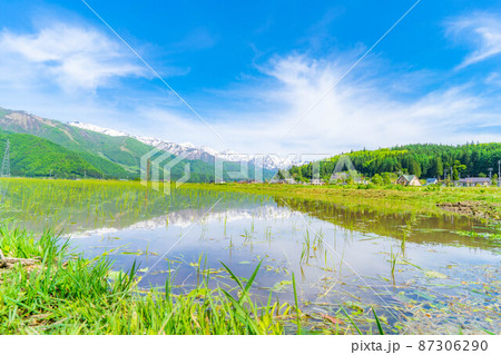 初夏の白馬村と北アルプス　水田風景【長野県】 87306290