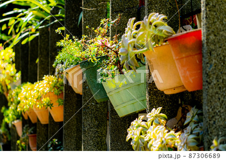 道端に並ぶカラフルな植木鉢 87306689