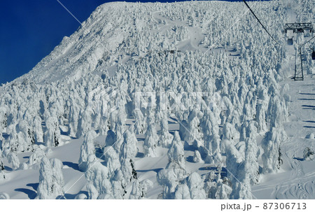 山形蔵王 白銀に輝く樹氷原とロープウェイ・ゴンドラ 山形蔵王 白銀に輝く樹氷原とロープウェイ・ゴンドラ 87306713
