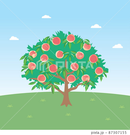 桃の木のある風景 87307155