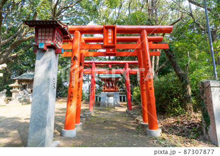 《福岡県》許斐神社　飯塚市幸袋　 87307877