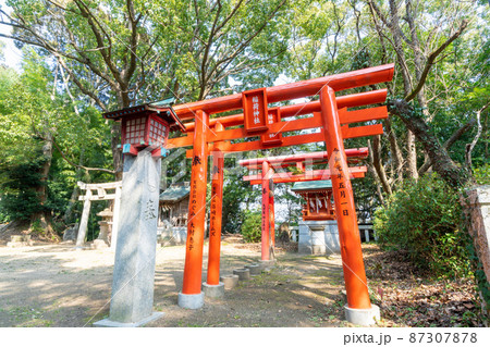 《福岡県》許斐神社 飯塚市幸袋 《福岡県》許斐神社 飯塚市幸袋 87307878