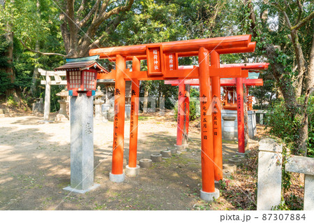 《福岡県》許斐神社 飯塚市幸袋 《福岡県》許斐神社 飯塚市幸袋 87307884