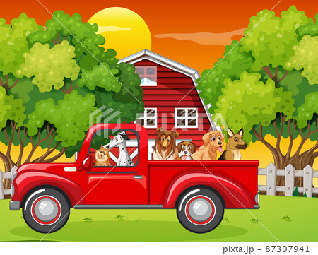 Many dogs riding on red truck in the farm Many dogs riding on red truck in the farm 87307941