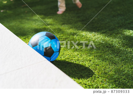 生後10ヶ月のボール遊び 87309333