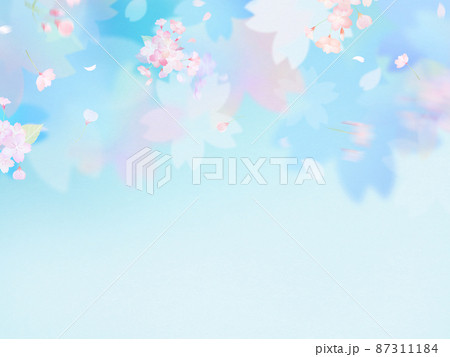 さわやかな桜の背景 さわやかな桜の背景 87311184