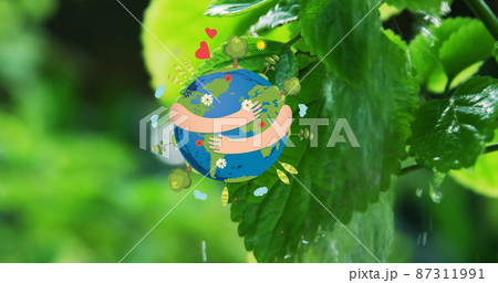 Image of globe icon over watering plants Image of globe icon over watering plants 87311991