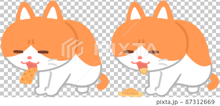 Cats that vomit and cats that vomit hairballs 87312669