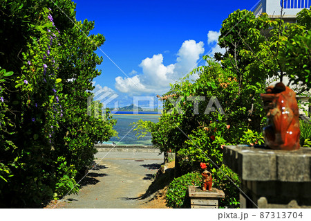 沖縄本島北部　本部町備瀬の美しい海 87313704