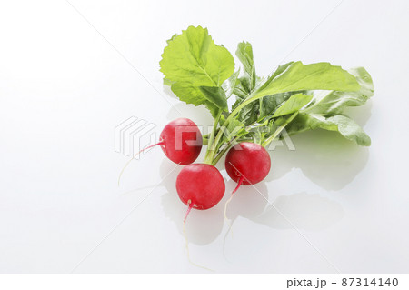 ラディッシュ　野菜 87314140