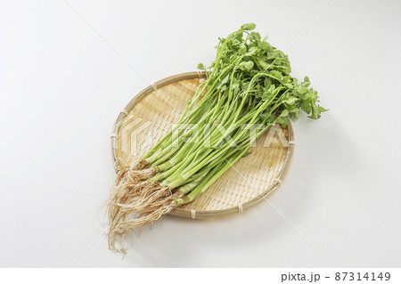 仙台セリ せり 仙台セリ せり 87314149