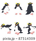 フィヨルドランドペンギン集合 87314309