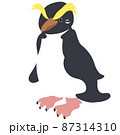 フィヨルドランドペンギン左向き 87314310