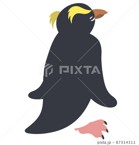 フィヨルドランドペンギン後ろ向き 87314311
