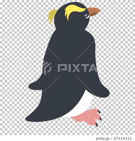 フィヨルドランドペンギン後ろ向き 87314311