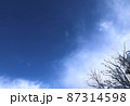 晴れた青空と雪の積もった木の枝 87314598
