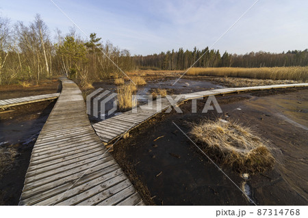 Nature reserve Soos, Western Bohemia, Czech Republic 87314768
