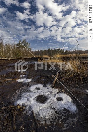 Nature reserve Soos, Western Bohemia, Czech Republic Nature reserve Soos, Western Bohemia, Czech Republic 87314769