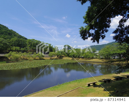 王子池（愛媛県西予市宇和運動公園） 87314941
