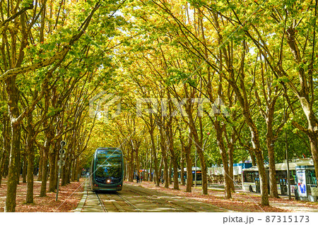 木のトンネルの中を走るトラム(ボルドー、フランス) 木のトンネルの中を走るトラム(ボルドー、フランス) 87315173