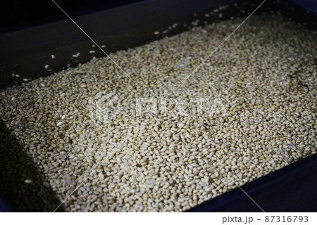 島豆腐　豆腐　石垣　沖縄　製造　食品　大豆　豆　たんぱく質　工場 87316793