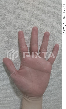 ますかけ線 天下取りの相  87317234