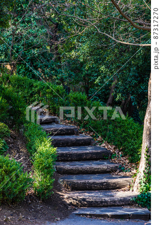 Rural landscape with old staircase 87317270