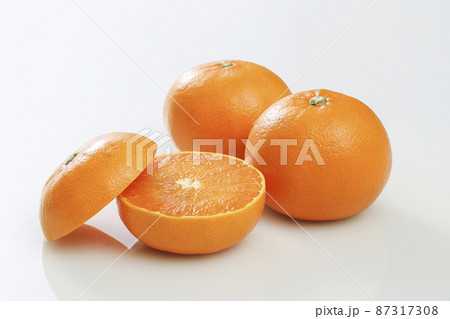 せとか　果物 87317308