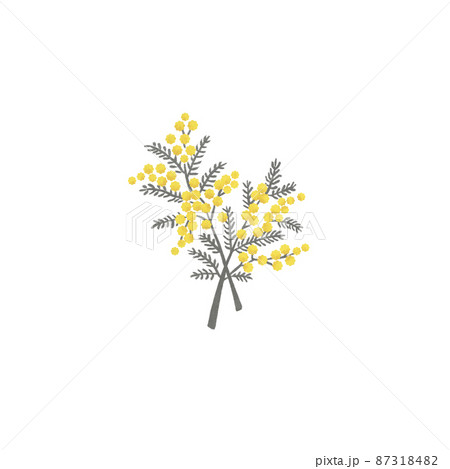 シンプルなミモザのブーケ シンプルなミモザのブーケ 87318482