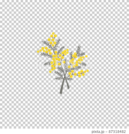 シンプルなミモザのブーケ シンプルなミモザのブーケ 87318482