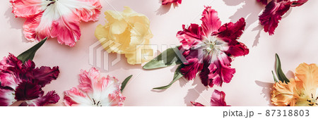 Bunch of Parrot Style Tulips 87318803