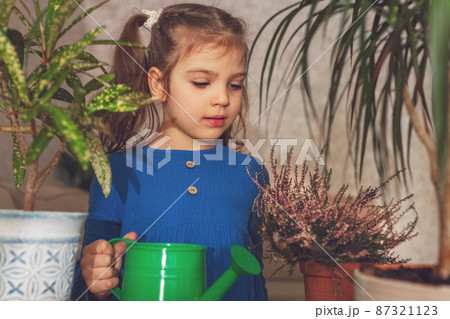 little girl in blue dress watering house plants heather from green watering can at home 87321123