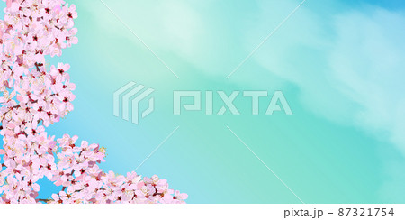 桜の花のバナー、春、空、青空、 桜の花のバナー、春、空、青空、 87321754