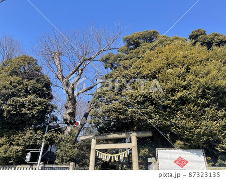 埼玉県の代表的な観光地 川越氷川神社 埼玉県の代表的な観光地 川越氷川神社 87323135