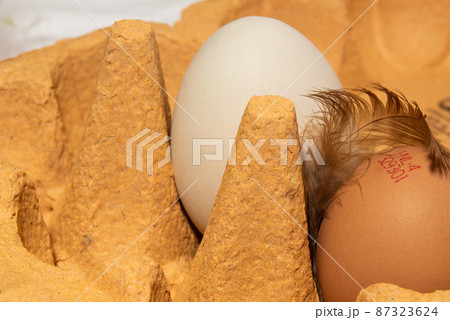 The Netherlands, February 2022. A carton of eggs with feathers on a white background. The Netherlands, February 2022. A carton of eggs with feathers on a white background. 87323624