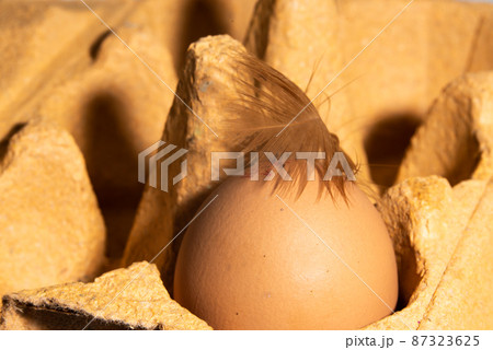 The Netherlands, February 2022. A carton of eggs with feathers on a white background. 87323625