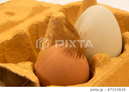 The Netherlands, February 2022. A carton of eggs with feathers on a white background. 87323626