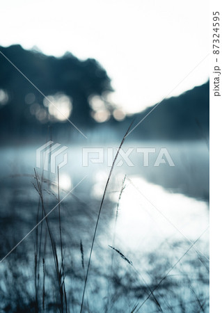 Camping spots, reservoirs and trees in the early morning. Camping spots, reservoirs and trees in the early morning. 87324595